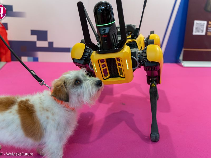SPOT engages with a "real" dog in the expo area of the WMF 2022