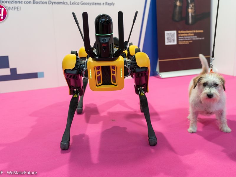 SPOT interagisce con un cane nell'area fieristica del WMF 2022
