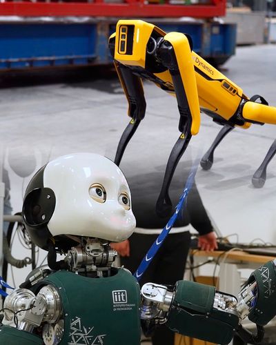 The Best of Robotics