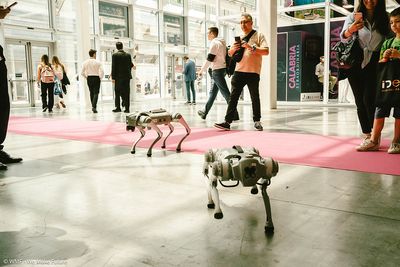 Prototypes and quadruped robots